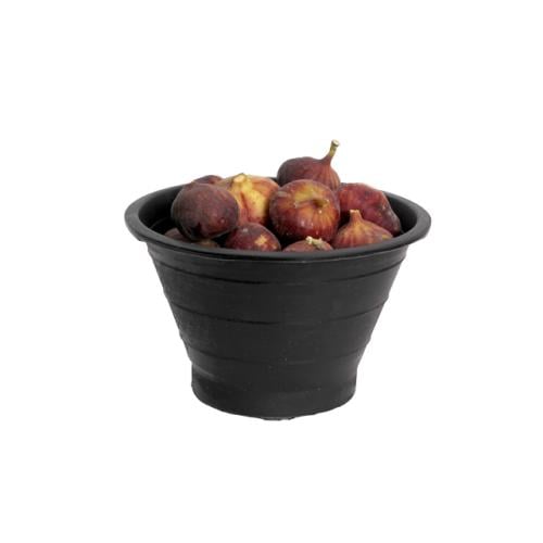 تين الحوطة سطل