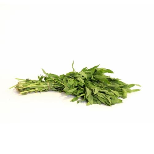 حبق للحبة جود القصيم