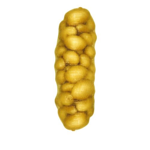 بطاطس طبخ كبير