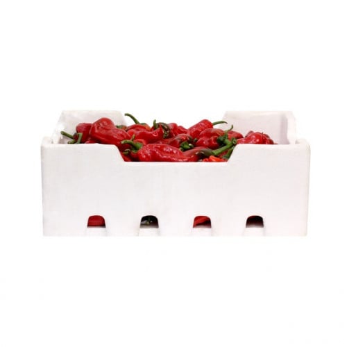 فلفل شقراء أحمر فلين جود القصيم