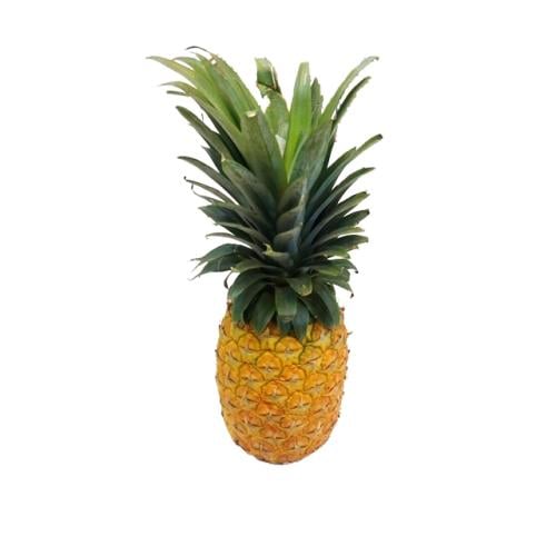 أناناس مانجاوي جامبو كبير
