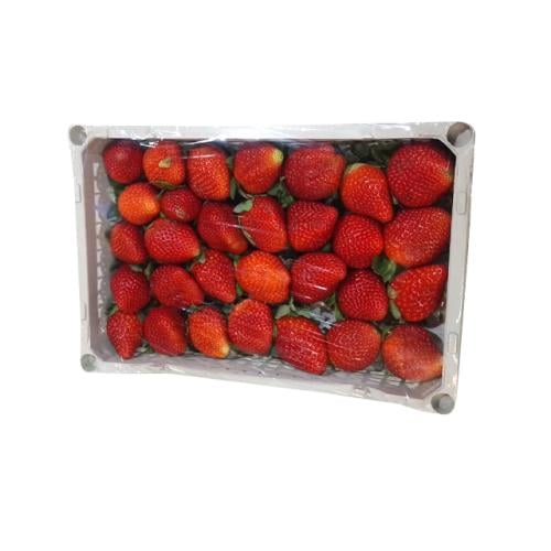 فراولة صندوق