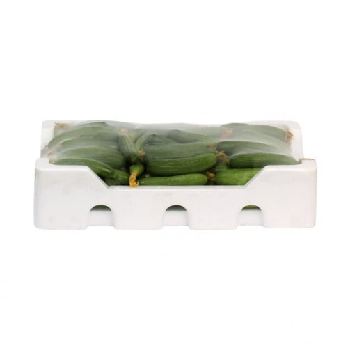 خيار بيبي فلين جود القصيم