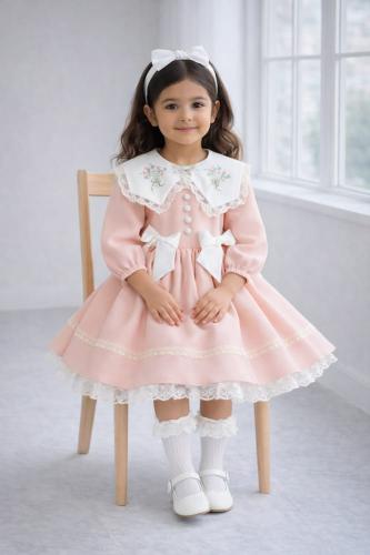 فستان بتطريز انيق