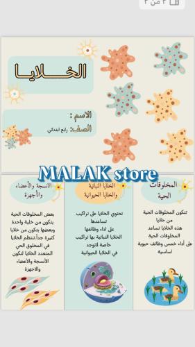مطوية علوم الصف الرابع الابتدائي ( الخلايا ) ١٤٤٦ه...