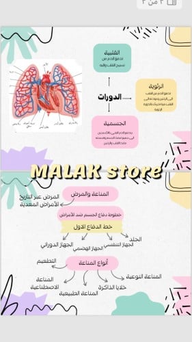 مطوية العلوم للصف الثاني متوسط