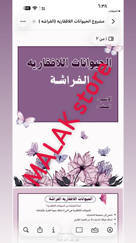 مشروع الحيوانات اللافقارية ( الفراشة )