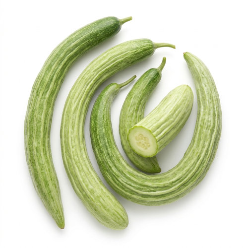 فلينة طرح بلدي