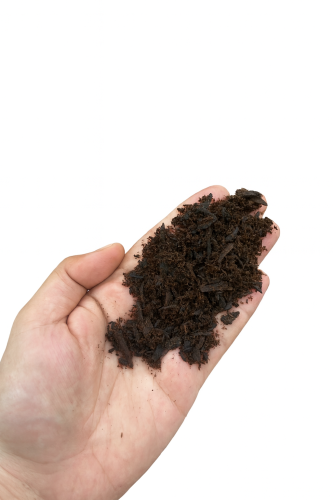 مبسوس اماراتي