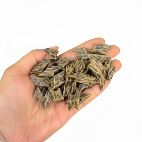 عود كمبودي تايقر