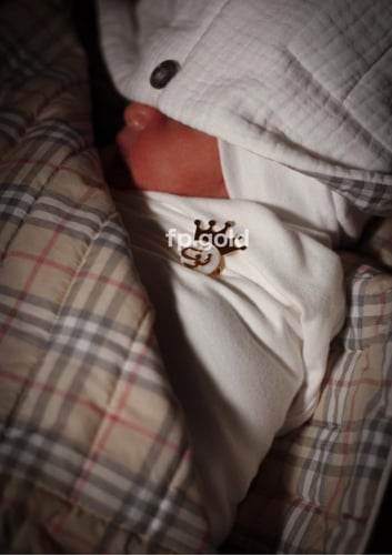 بروش صدف تاج مطلي ذهب متوفر 3 مقاسات