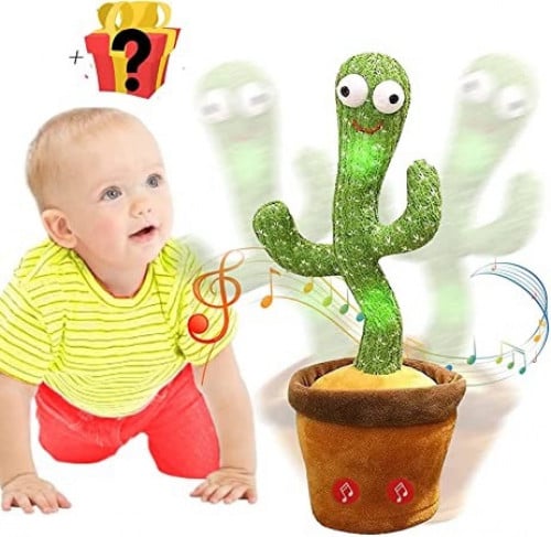 الصبار الراقص TOYS