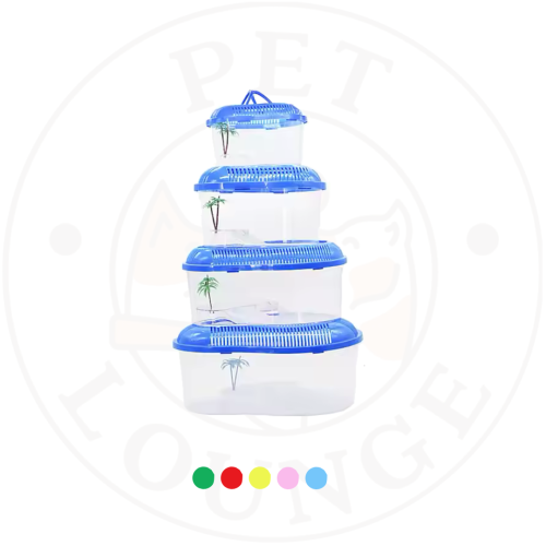 حوض سلاحف وسمك مع شجرة