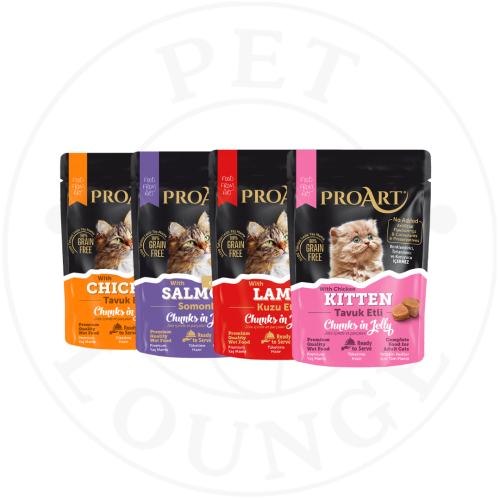 طعام رطب اظرف للقطط بالجيلي - 85g ProArt