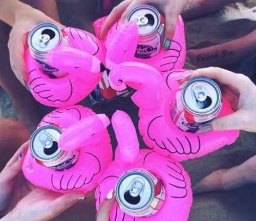 فلامنجو حامل كوب