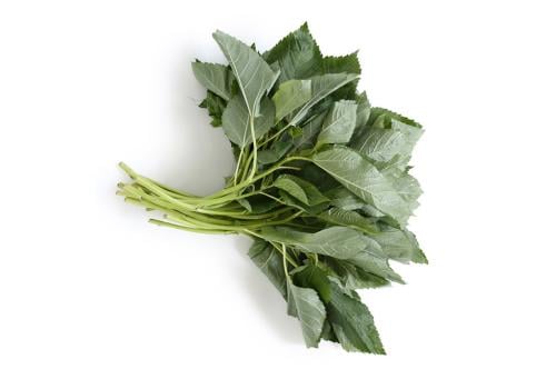 ملوخية | حزمة