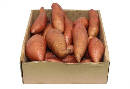 بطاطا حلوه | كرتون