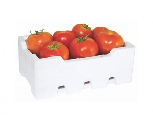 طماطم | فلين