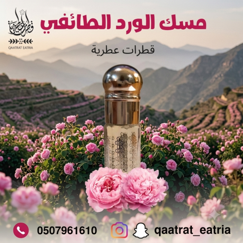مسك الورد الطايفي Musk rose of Taif