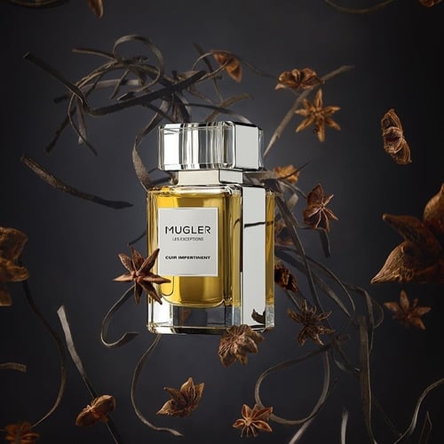 عطر تيري موغلر كوير إيمبرتينينت 80 مل