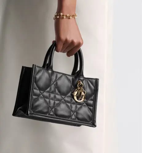 شنطة ديور /ميني