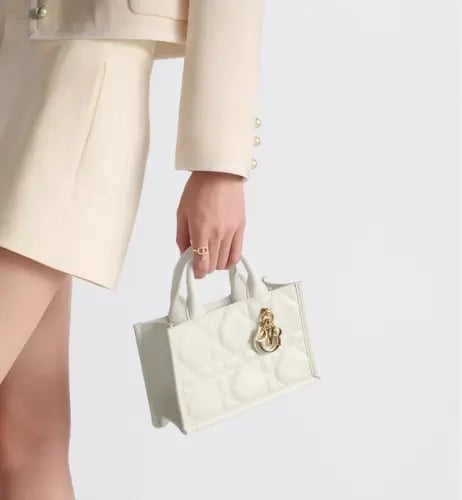 شنطة ديور /ميني