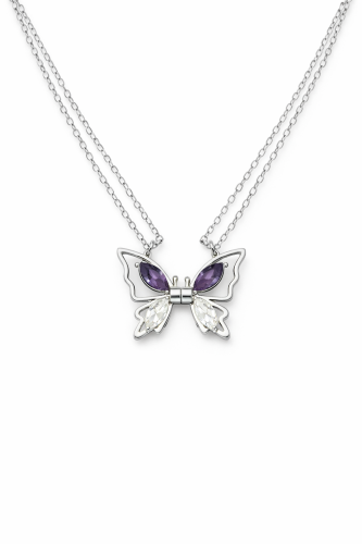 طقم قلادة الفراشة الثنائي بقطعة مغناطيسية