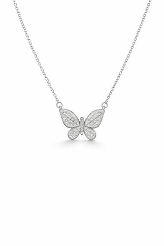 سلسال فراشة لامعه مرصع زركون مع بوكس RAFAL