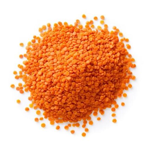 Red and brown lentils