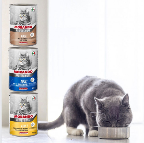 موراندو بكج طعام رطب قطع نكهات منوعة