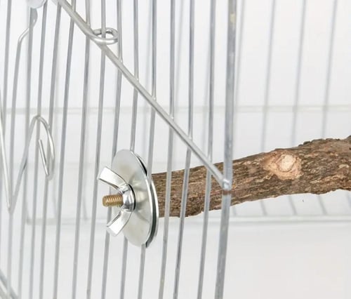 مجثم خشبي صغير لطيور