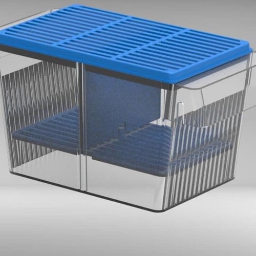 حضانة اسماك للانتاج وعزل الانثى عن الذكر وعزل البي...