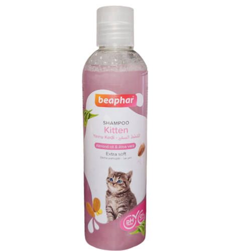 شامبو بيولين للقطط الصغيرة