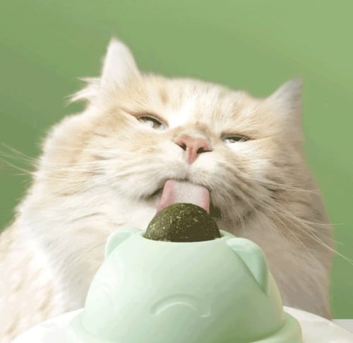 لعبة الهرم مزودة بكورة الكاتنب