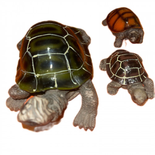 مجسم سلحفاة لتزيين الاحواض متعدد الاحجام