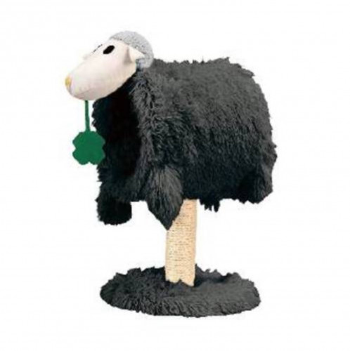 خداشة زولكس يتي الخروف