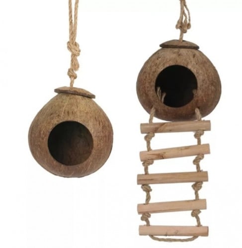 عش منجوز الهند الطبيعي للطيور الصغيرة