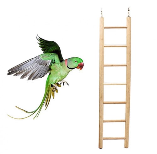 لعبة سلم خشبي للطيور
