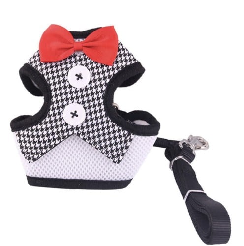 لبس مزود بحبل للقطط