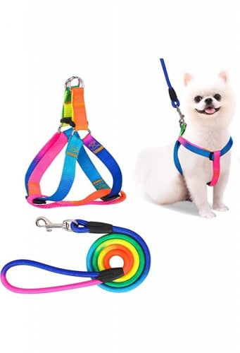 مشد مع صدرية ملونة قوس قزح للحيوانات متوسطة الحجم