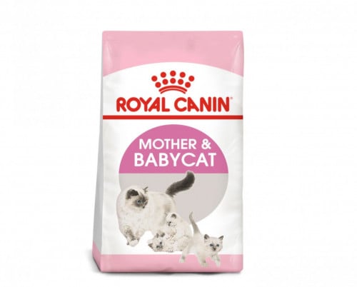 رويال كانين طعام جاف للقطط البيبي كات والأم المرضع...