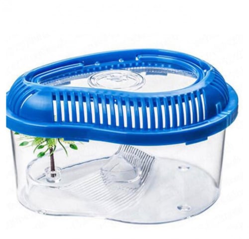 حوض سلاحف بيضاوي بلاستك M