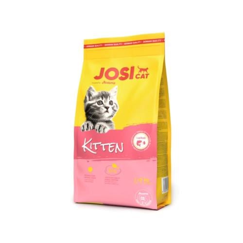 جوسي كات طعام جاف للقطط الصغيرة