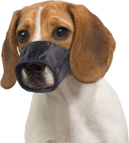 كمامة لحماية فم الكلاب مضادة للعض والنباح