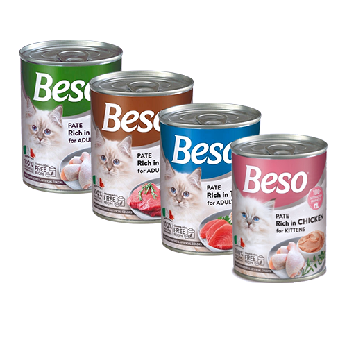 بكج معلبات بيسو400g منوع 20علبة