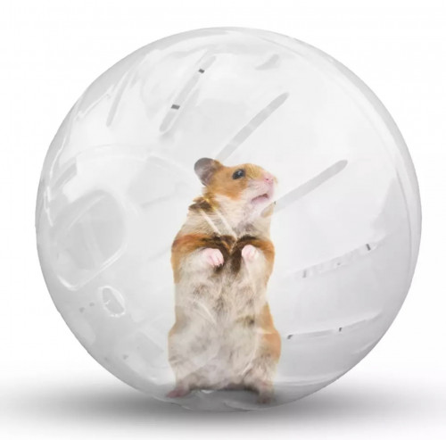 لعبة كورة للهامستر