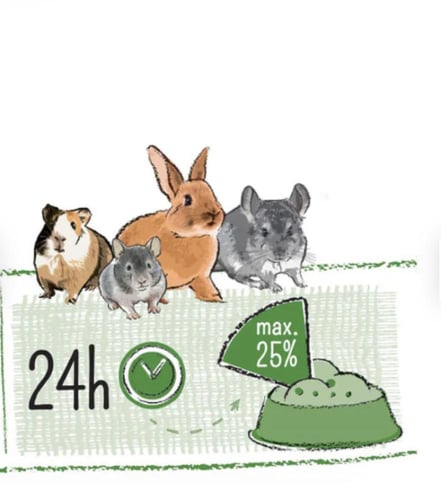 طعام الارانب والقوارضWitte Molen puur سناك موسلي ب...