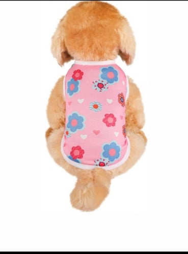 سترة حيوانات أليفة محبوكة للقطط والكلاب لون الازرق