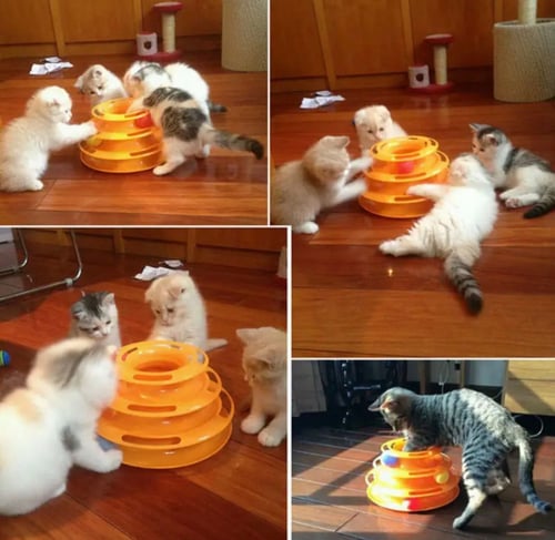 لعبة قطط تفاعلية مزودة بكور