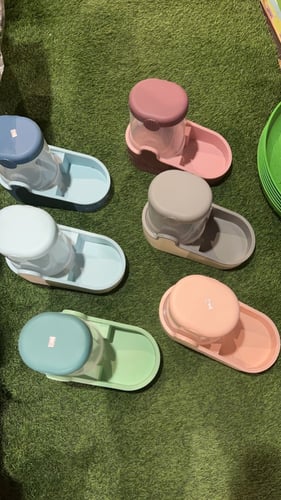 مشربية قطط بألوان مختلفة